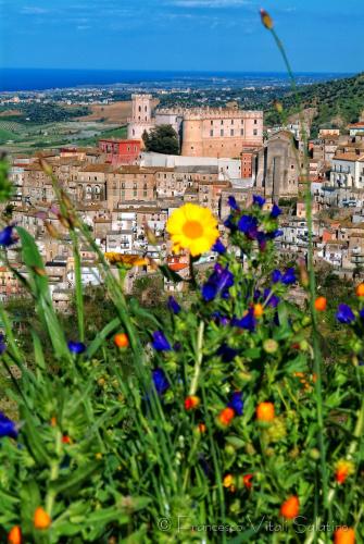 Il Falco e Il Gabbiano - image 7