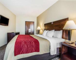 Comfort Inn and Suites Near Lake Guntersville