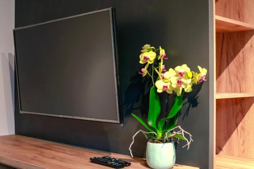 Apartament z ogrodem w centrum Limanowej