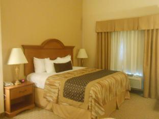 Best Western Plus New Caney Inn and Suites in Porter