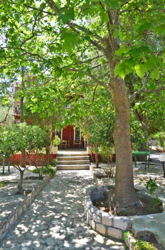 花園, 貝爾維德扎金索斯公寓 (Belvedere Zakynthos Studios) in 瓦斯利克斯