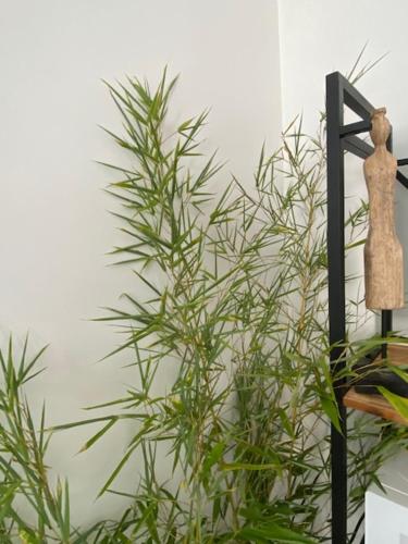 Appartements Pyrenees-Barthou photo