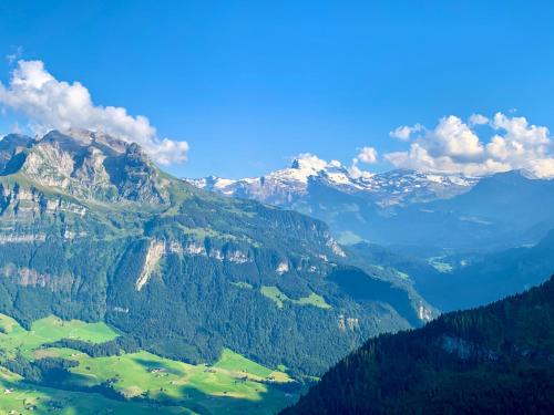 The Swiss Paradise 2 Apartment with Garden, Whirlpool, and Mountain Panorama