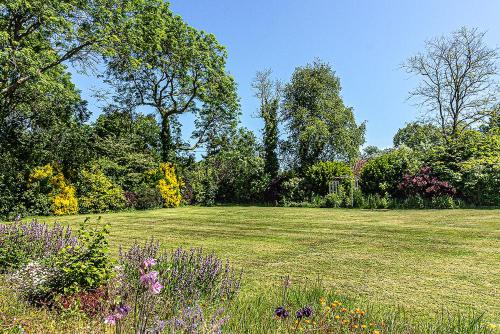 Cosy Wolf Bed & Breakfast - image 2