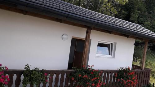 APARTMAJI GORENC