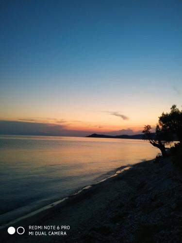  Villa Nadia in Nea Skioni