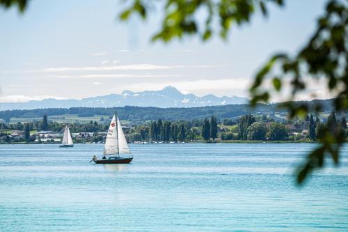 Lakeside Apartment - Seeufer Apartment - Allensbach