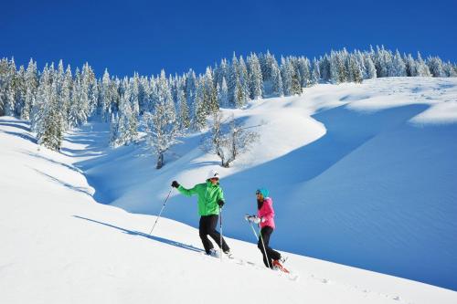 Hotel Lohningerhof – Maria Alm, SD