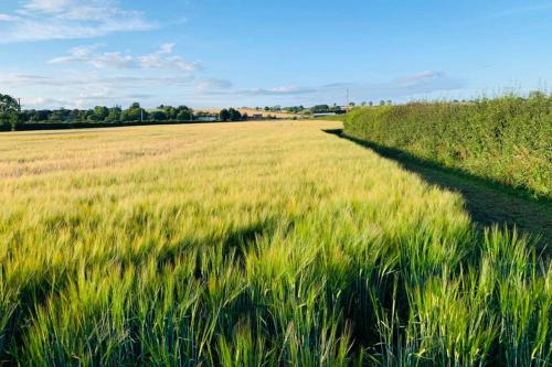 Boundary Stable, Pickering (fotografie 11)