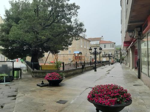  Apartamento El Parque in Padrón