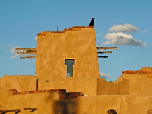 Canyon Of The Ancients Guest Ranch - Accommodation - Cortez