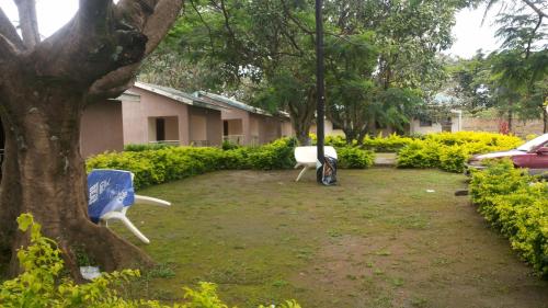 Jardín, Blue Dove Koboko in Arua
