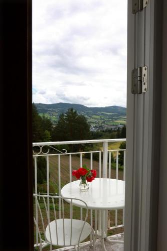 Sanner Hotell in Gran