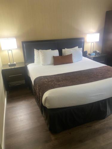 Wingate by Wyndham Springfield - image 14