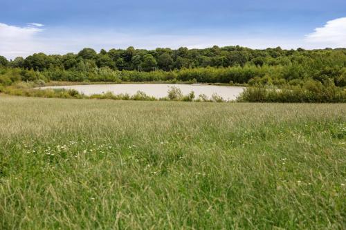 Hastings Retreat Rural barn conversions with Private Lake