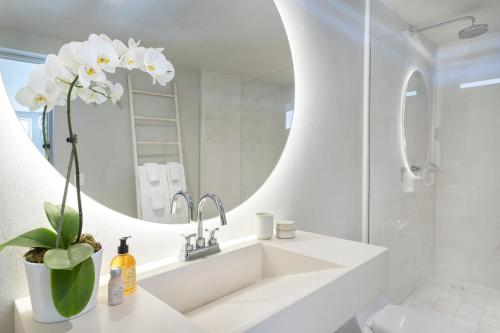 Hotel Boutique Casa Lulu