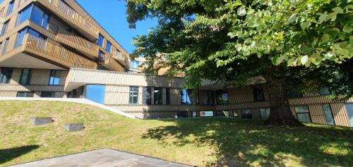 City Premium in Tonismagi