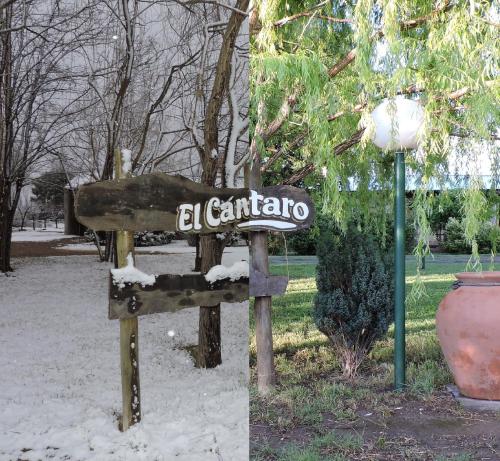 El Cántaro - image 5