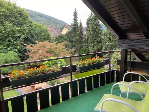 Ferienwohnung Seerose Bad Wildbad i. Schwarzwald