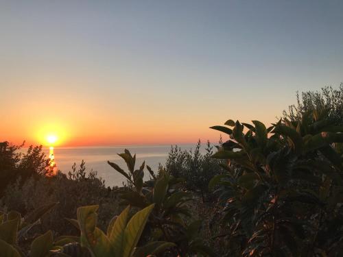 TRA TERRA E MARE