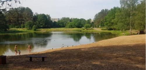 Garden Studio by the Lake with Air-Con and Infrasauna, Druskininkai (fotografie 4)