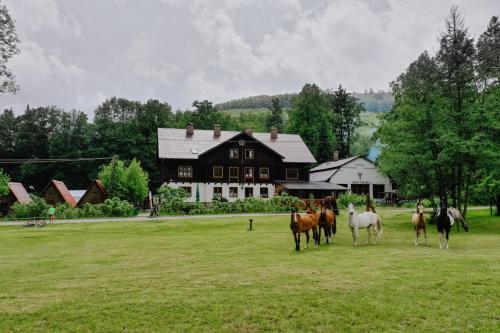 Penzion Račí údolí - Accommodation - Javorník