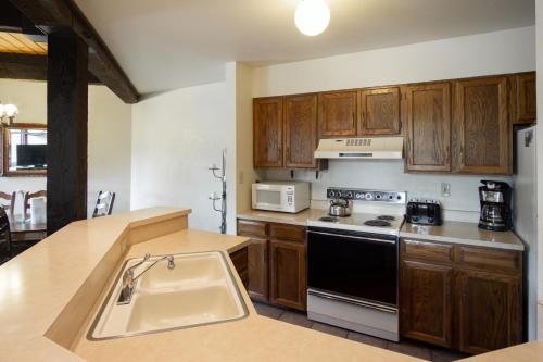 The Lodge E at Steamboat - image 3