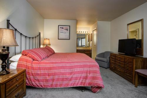 The Lodge E at Steamboat - image 6