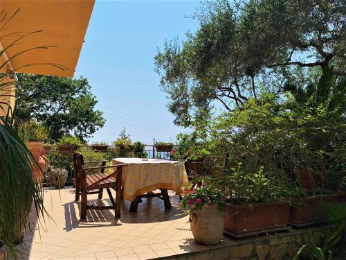 B&B dei Fiori - Accommodation - Praia a Mare