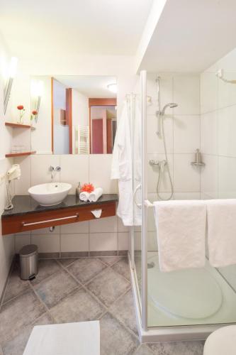 Waldhotel Felsentor Room Type - Deluxe Double Room with Balcony Waldhotel Felsentor Room Type - Deluxe Double Room with Balcony