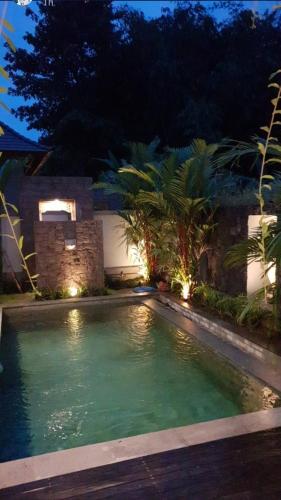 Deluxe Villa image 4
