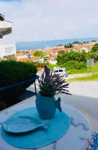 Pine & View, Pefkochori (Foto 10)