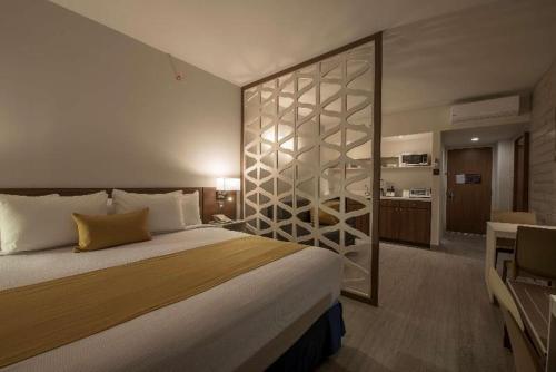 Microtel Inn & Suites by Wyndham San Luis Potosi