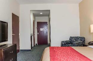 Comfort Inn & Suites Northeast - Gateway