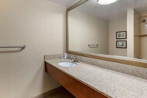 Comfort Inn Lansing