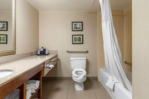 Comfort Inn Lansing - image 8