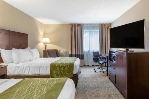 Comfort Inn Lansing - image 9