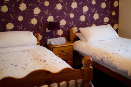 Фотография номера мини отеля Aden House Bed And Breakfast