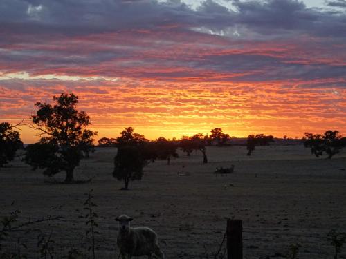 Meander Retreat - The Green Room