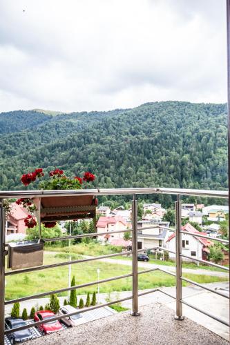 Apartment - Split Level