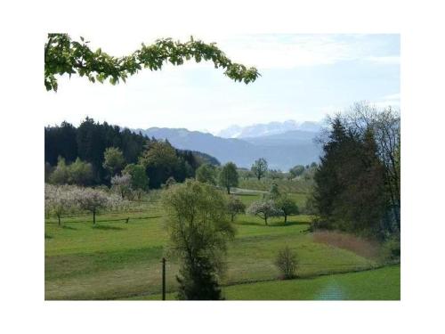 Ferienwohnung Beck - main image