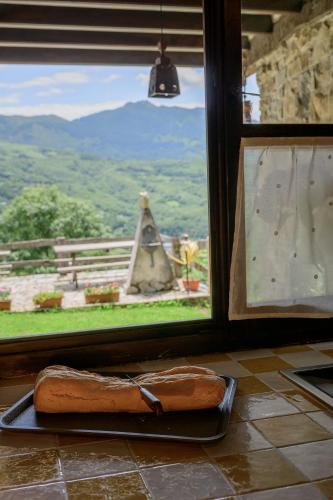 ทัศนียภาพ, La Xamoca Apartamentos Rurales in เรียวเซโก