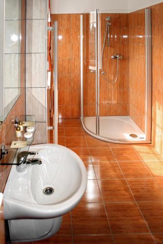 Wellness Hotel Hukvaldy - image 6