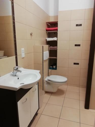 APARTAMENT W CENTRUM OLESNA