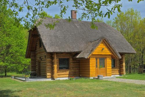 Accommodation in Gryżyna