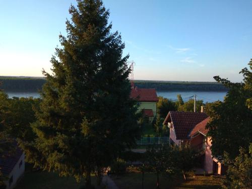 OLOR Apartman 3 - Banoštor - image 5