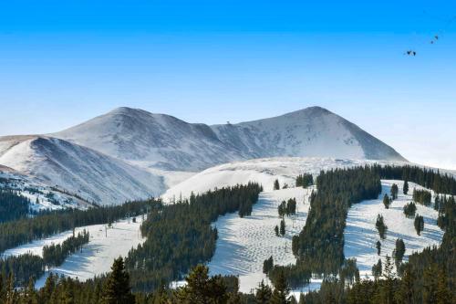 Ski-In Ski-Out Tyra Lookout #20 Ski-In Ski-Out Tyra Lookout #20