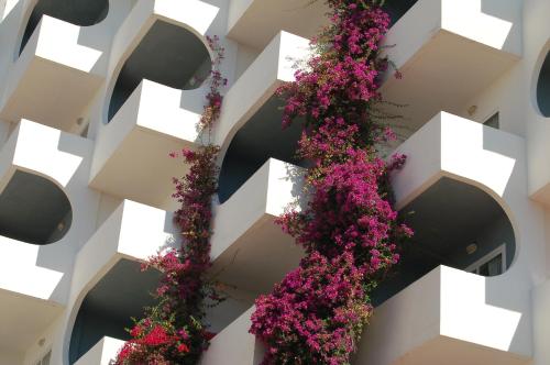 Hotel Pamplona - main image