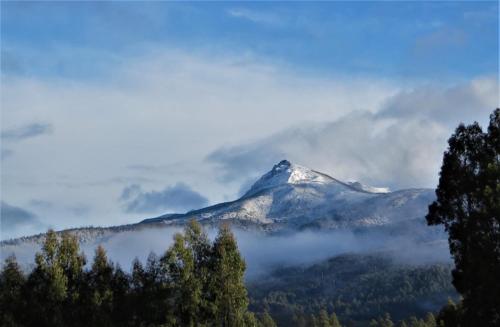 Maydena Chalet