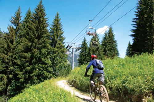 Les 4 Elements - Apt D104 - BO Immobilier- Châtel Multipass 2026 Activités en Été offert par votre hôte, Châtel (zdjęcie 10)